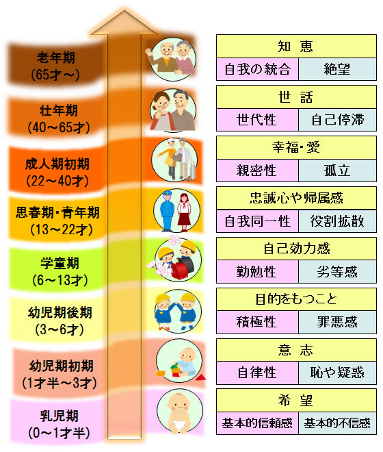 の 発達 理論 エリクソン